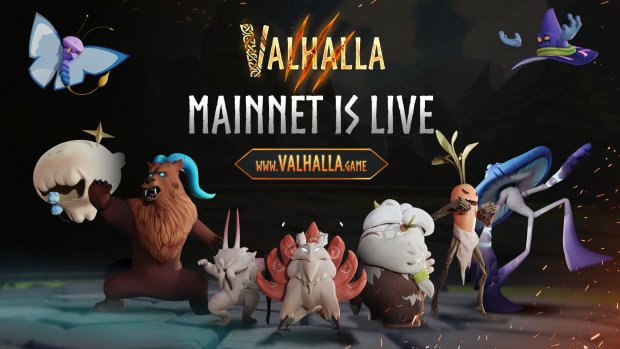 valhalla mainnet floki.