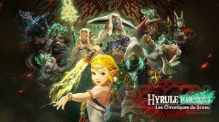 Hyrule Warriors Les Chroniques du Sceau images test (1)