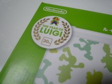 3DS XL Luigi images screenshots 05