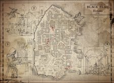 Assassin's Creed IV Black Flag 22.08.2013 (1)