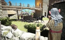 BlackDesertOnline_EnvNPC-9