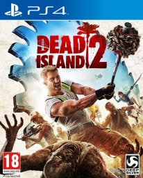 Dead Island 2 jaquette 18.05.2014  (3)