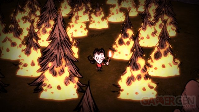 Don't Starve screenshot 19012014 004