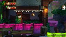 Donkey Kong Country Tropical Freeze 19.12.2013 (18)