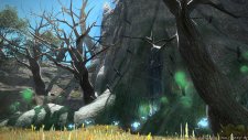 Final-Fantasy-XIV-A-Realm-Reborn_13-03-2014_screenshot-9