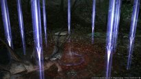 Final-Fantasy-XIV-A-Realm-Reborn-Nouvelles-Classes_14-06-2014_screenshot (9)