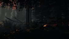 Forest-NightFire-noscale