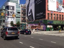 GTA in New York City 2013 (13)