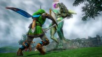 Hyrule Warriors 16.06 (5)