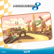 Mario Kart 8 06.04.2014  (2)