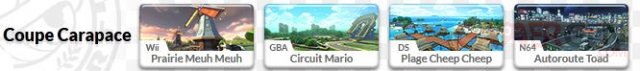 Mario Kart 8 Circuits 05.05.2014  (6)