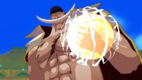 One Piece Unlimited World Red 12.05.2014  (31)