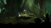 Ori and the blind forest E3 2014 captures 9