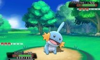 Pokémon-Rubis-Oméga-Saphir-Alpha_12-06-2014_screenshot (12)