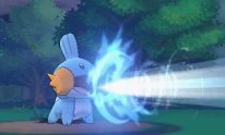 Pokémon-Rubis-Oméga-Saphir-Alpha_12-06-2014_screenshot (30)