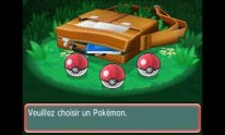 Pokémon-Rubis-Oméga-Saphir-Alpha_12-06-2014_screenshot (9)