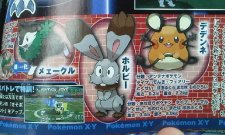 Pokémon-X-Y_08-08-2013_rumeur-scan-1