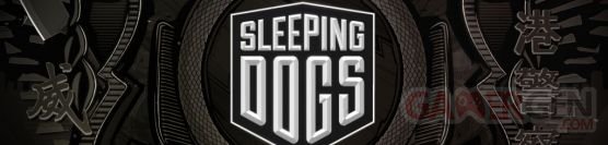 Sleeping-Dogs_banner