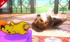 Super Smash Bros comparaison 3DS Wii U Pikachu 23.07.2013 (17)