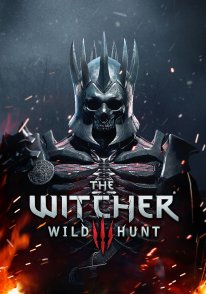 The-Witcher-3-Wild-Hunt-Traque-Sauvage_14-06-2014_artwork-1