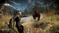 The-Witcher-3-Wild-Hunt-Traque-Sauvage_14-06-2014_screenshot-14