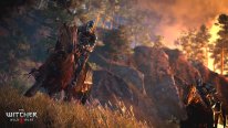 The-Witcher-3-Wild-Hunt-Traque-Sauvage_14-06-2014_screenshot-18