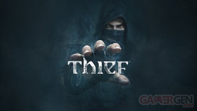 thief artwork jaquette