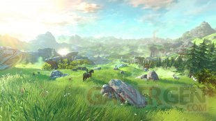 Wii U The Legend of Zelda 10.05.2014  (2)