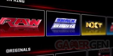 WWE Network (2)